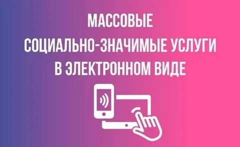 Перевод массовых социально значимых государственных и муниципальных услуг в электронный вид. 