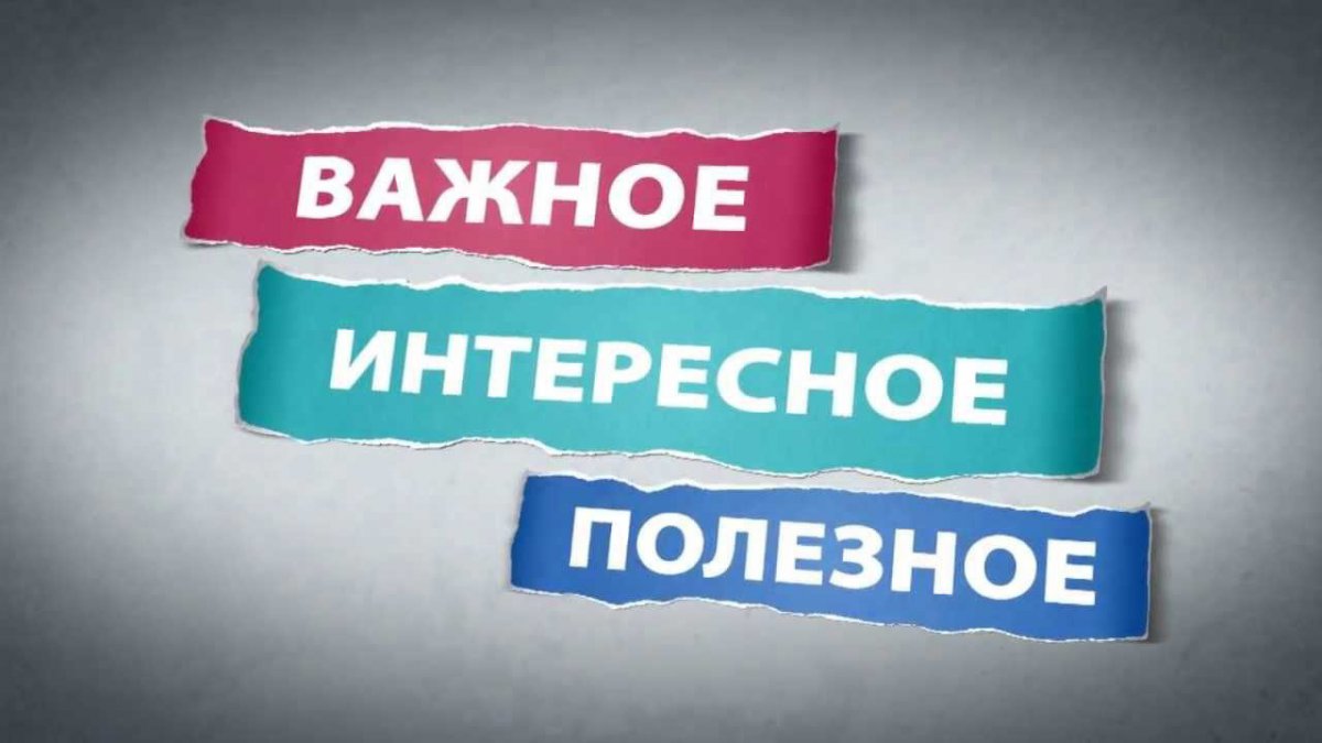 Что ожидать налогоплательщикам в октябре в 2024 года